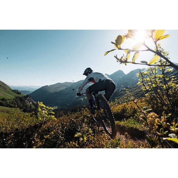 NORTHWAVE - In Dust We Trust Socks - black